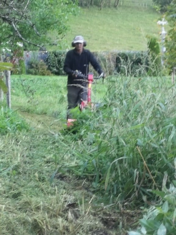 Entretien espaces verts jardinier sur albertville 73200 Savoie